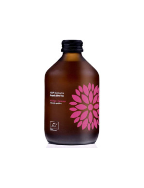 Kombucha mango maracuja Bio...