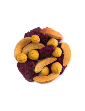 LyoN směs dračí ovoce lyo...