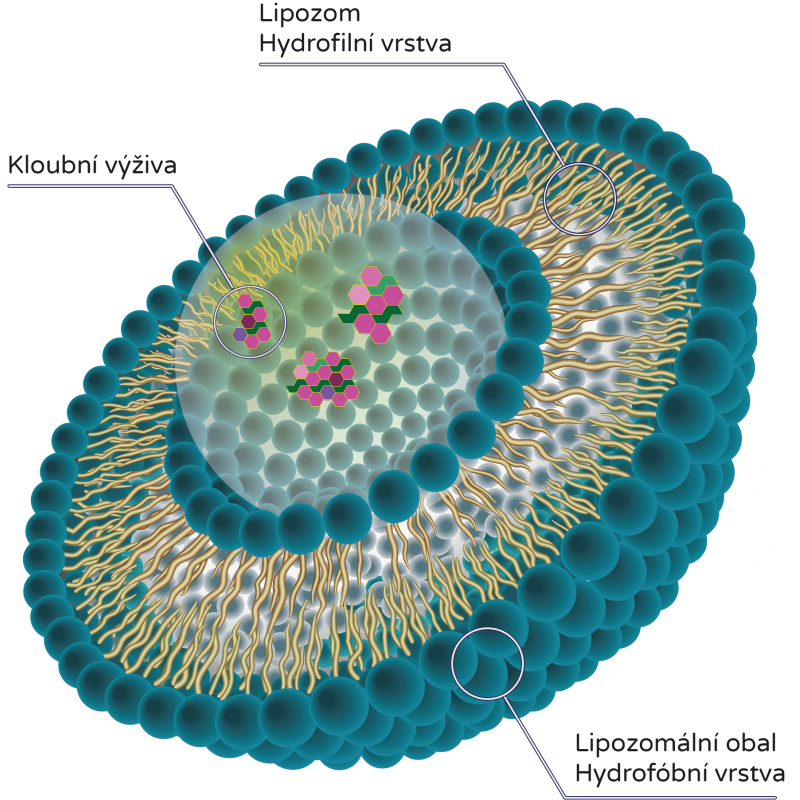 BrainMax Lipozomální Kloubní výživa, Acti-Joint® 250 ml